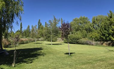 Casa Nivel Gerencial 5 dormitorios en Lote de 4924 m2 - Cipolletti