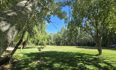 Casa Nivel Gerencial 5 dormitorios en Lote de 4924 m2 - Cipolletti