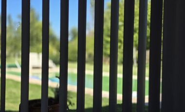 Casa Nivel Gerencial 5 dormitorios en Lote de 4924 m2 - Cipolletti