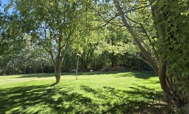 Casa Nivel Gerencial 5 dormitorios en Lote de 4924 m2 - Cipolletti