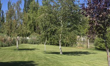 Casa Nivel Gerencial 5 dormitorios en Lote de 4924 m2 - Cipolletti