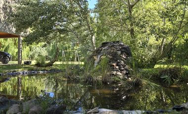 Casa Nivel Gerencial 5 dormitorios en Lote de 4924 m2 - Cipolletti