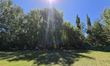 Casa Nivel Gerencial 5 dormitorios en Lote de 4924 m2 - Cipolletti