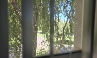 Casa Nivel Gerencial 5 dormitorios en Lote de 4924 m2 - Cipolletti