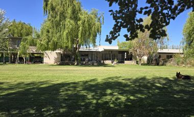 Casa Nivel Gerencial 5 dormitorios en Lote de 4924 m2 - Cipolletti