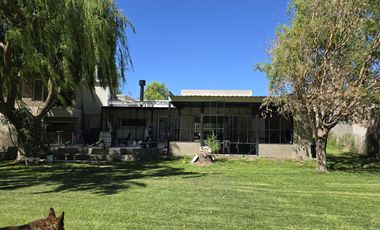 Casa Nivel Gerencial 5 dormitorios en Lote de 4924 m2 - Cipolletti