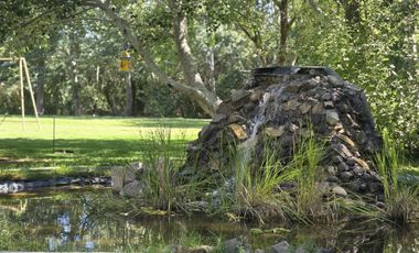 Casa Nivel Gerencial 5 dormitorios en Lote de 4924 m2 - Cipolletti