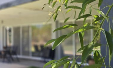 Casa Nivel Gerencial 5 dormitorios en Lote de 4924 m2 - Cipolletti