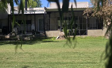 Casa Nivel Gerencial 5 dormitorios en Lote de 4924 m2 - Cipolletti