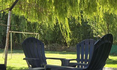 Casa Nivel Gerencial 5 dormitorios en Lote de 4924 m2 - Cipolletti