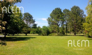 El Ombu | Alquiler TEMPORAL 2026