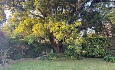 Propiedad a la venta en Fincas de Iraola Lote Central con Pileta