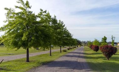 Casa en venta en Los Juncos