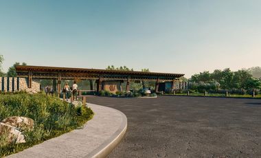 Venta Terreno RIA General Lagos