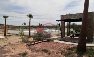 En venta terreno campestre en General Cepeda