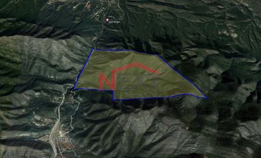 TERRENO EN VENTA EN GENERAL CEPEDA, EJIDO LA CASITA