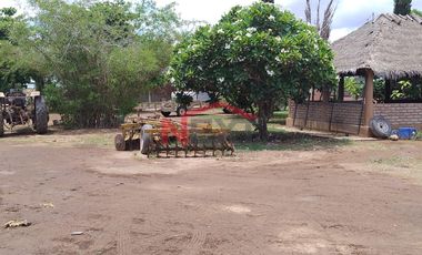 HUERTA DE NOGAL EN PRODUCCIÓN EN VENTA UBICADA EN SAN IGNACIO RÍO MUERTO