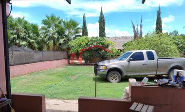 HUERTA DE NOGAL EN PRODUCCIÓN EN VENTA UBICADA EN SAN IGNACIO RÍO MUERTO