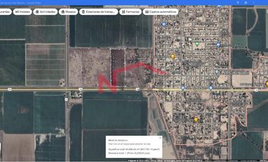 HUERTA DE NOGAL EN PRODUCCIÓN EN VENTA UBICADA EN SAN IGNACIO RÍO MUERTO