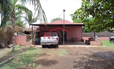 HUERTA DE NOGAL EN PRODUCCIÓN EN VENTA UBICADA EN SAN IGNACIO RÍO MUERTO