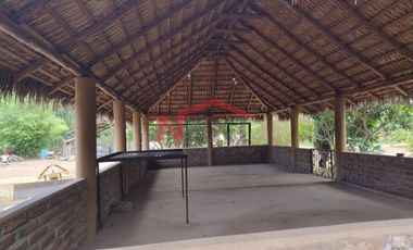 HUERTA DE NOGAL EN PRODUCCIÓN EN VENTA UBICADA EN SAN IGNACIO RÍO MUERTO