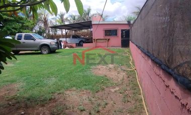 HUERTA DE NOGAL EN PRODUCCIÓN EN VENTA UBICADA EN SAN IGNACIO RÍO MUERTO