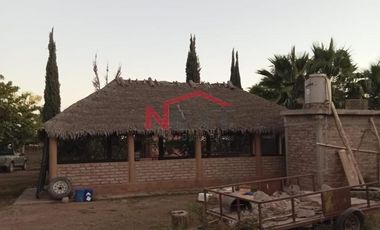 HUERTA DE NOGAL EN PRODUCCIÓN EN VENTA UBICADA EN SAN IGNACIO RÍO MUERTO