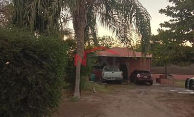 HUERTA DE NOGAL EN PRODUCCIÓN EN VENTA UBICADA EN SAN IGNACIO RÍO MUERTO