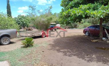HUERTA DE NOGAL EN PRODUCCIÓN EN VENTA UBICADA EN SAN IGNACIO RÍO MUERTO