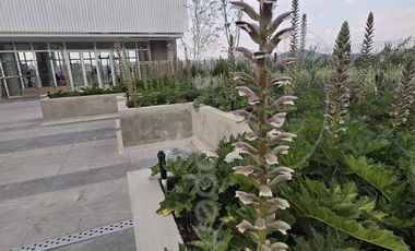 Pre venta departamento en Lomas Verdes Sexta Sección.