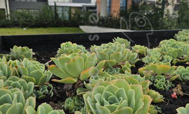 Pre venta departamento en Lomas Verdes Sexta Sección.