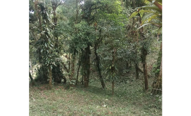 SE VENDE TERRENO EN ALTOS DEL MARIA URB. NAVARRA DE 2274M CLIMA FRIO