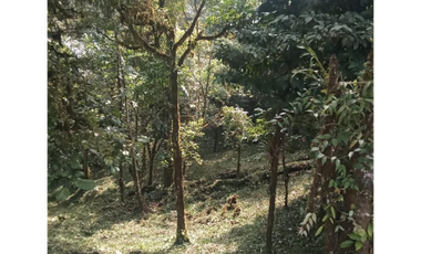 SE VENDE TERRENO EN ALTOS DEL MARIA URB. NAVARRA DE 2274M CLIMA FRIO
