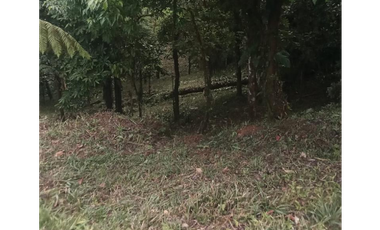 SE VENDE TERRENO EN ALTOS DEL MARIA URB. NAVARRA DE 2274M CLIMA FRIO