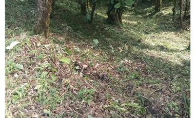SE VENDE TERRENO EN ALTOS DEL MARIA URB. NAVARRA DE 2274M CLIMA FRIO