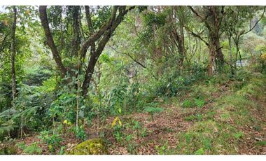 Venta de Lote en Envigado