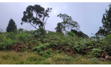 Venta de Lote en Envigado