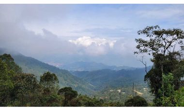 Venta de Lote en Envigado