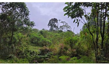 Venta de Lote en Envigado