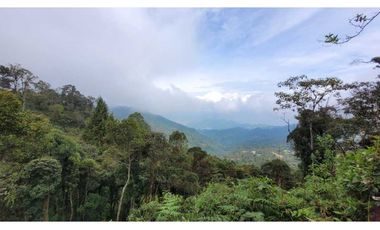 Venta de Lote en Envigado