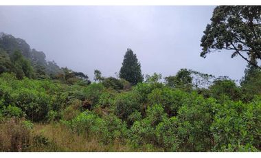 Venta de Lote en Envigado