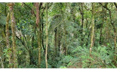 Venta de Lote en Envigado