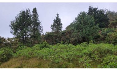 Venta de Lote en Envigado