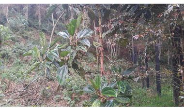 LFL-362-Lote Rural-Colinas San Sebastián-El Retiro-Carrizales