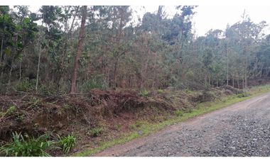 LFL-362-Lote Rural-Colinas San Sebastián-El Retiro-Carrizales