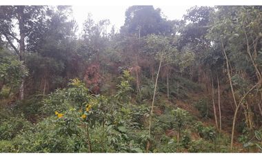 LFL-362-Lote Rural-Colinas San Sebastián-El Retiro-Carrizales