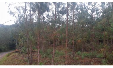 LFL-362-Lote Rural-Colinas San Sebastián-El Retiro-Carrizales