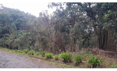 LFL-362-Lote Rural-Colinas San Sebastián-El Retiro-Carrizales