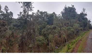 LFL-362-Lote Rural-Colinas San Sebastián-El Retiro-Carrizales