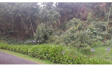 LFL-362-Lote Rural-Colinas San Sebastián-El Retiro-Carrizales